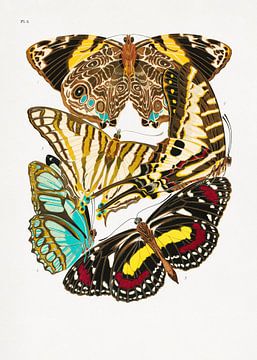 Butterflies 10, Pictufy van 1x