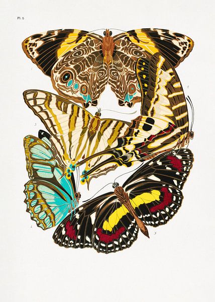 Papillons 10 par Pictufy 