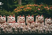 Chats chanceux à Tokyo, Japon