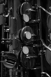 Sax close-up van Jeanine den Engelsman