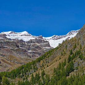 Vue du Staffal, au nord de l'Italie, vers les Alpes enneigées. sur Hein Fleuren