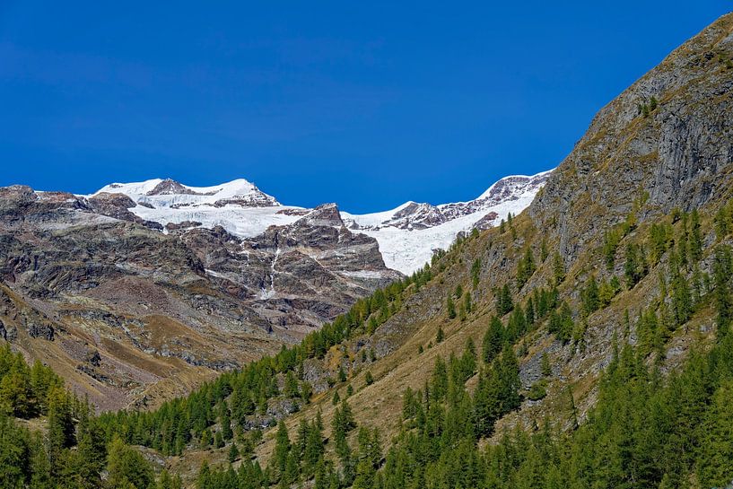 Vue du Staffal, au nord de l'Italie, vers les Alpes enneigées. par Hein Fleuren