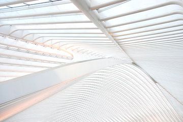 The roof of Gare Guillemins in Liege Belgium