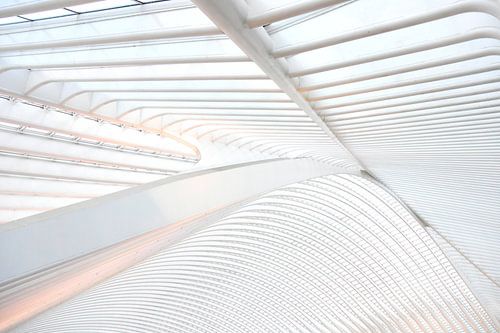 Het dak van Gare Guillemins te Luik