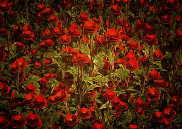Roses - La Sevillana Rose
