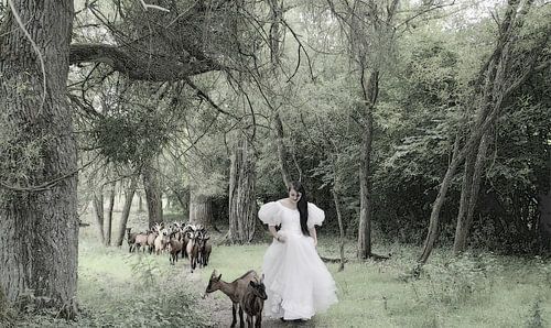 sneeuwwitje op bezoek bij de geitjes