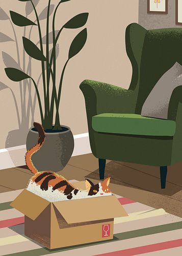 Chat dans une boîte en carton