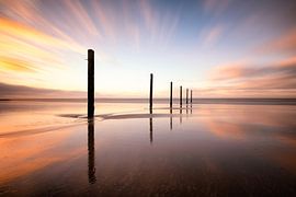 VI - Colors of the wind by Christophe Staelens