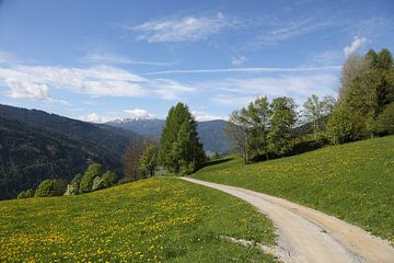 Steiermark von Marcel Schauer