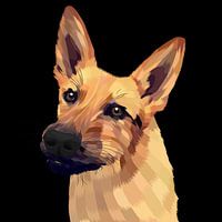Goldener Hund
