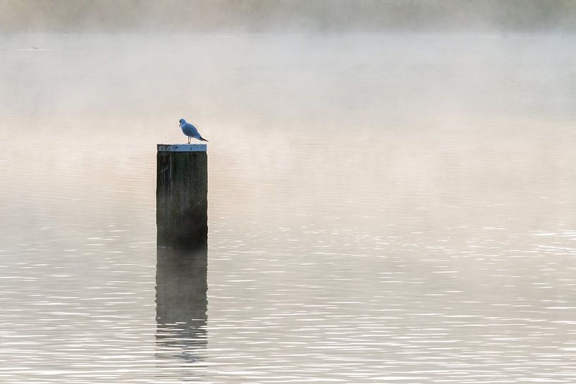 Eenzaamheid by Peter Dane