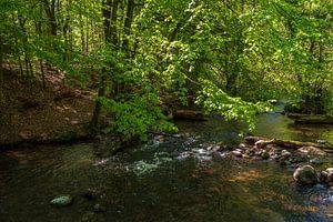 Landschaft im Nebeldurchbruchstal zwischen Serrahn und Kuchelmiß