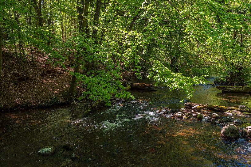 Landschaft im Nebeldurchbruchstal zwischen Serrahn und Kuchelmiß von Rico Ködder