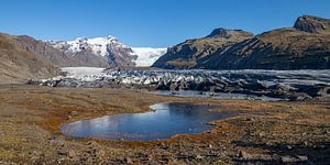 Svínafellsjökull Gletsjer van Albert Mendelewski