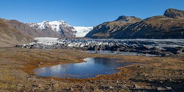 Svínafellsjökull Gletsjer