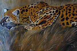 Gepard auf der Jagd III