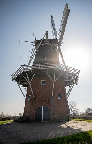 Le moulin Zeldenrust à Dokkum brille sous le ciel bleu sur Zuidfotograaf