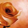 Schilderij van een roos in oranje kleuren van Tanja Udelhofen