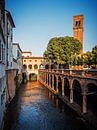 Mantua - Italien van Alexander Voss thumbnail
