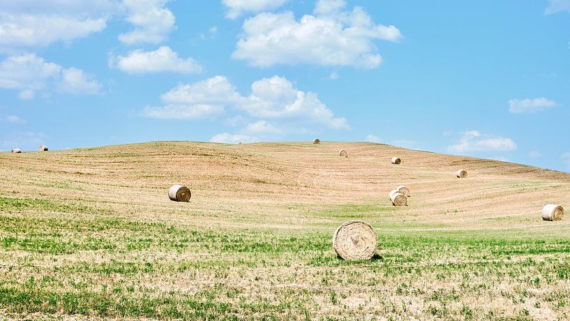 Straw bales in the italian landscape by eric van der eijk