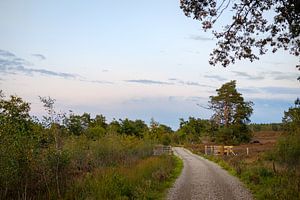 Fußweg zum Tor