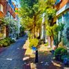 Paysage urbain vert de Haarlem sur Hilda Weges