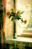 Still life Flowers in a bottle