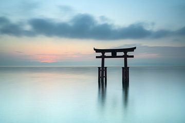 Torii poort in het Biwa meer in Japan van Anges van der Logt