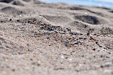 Dünen am Strand in Thiessow auf Rügen