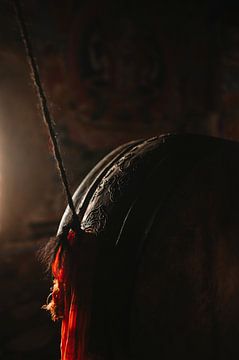 Drum in tibetan monastery in Nepal's Himalayas by Ayla Maagdenberg