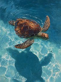 Sea Turtle by IamHome Studio