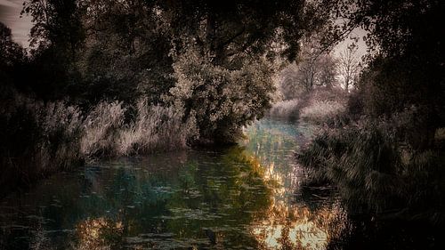 Autumn pond in Purmerend