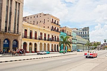 La Havane sur Tom Hengst