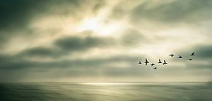 Meer im Abendgold