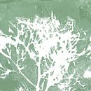 Botanische Kunst im Japandi  Stil. Blatt in mintgrün und weiß von Dina Dankers Miniaturansicht