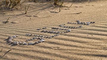 Mit Muscheln als Symbol des Glücks am Strand der Ostsee in den Sand gelegt von Martin Köbsch