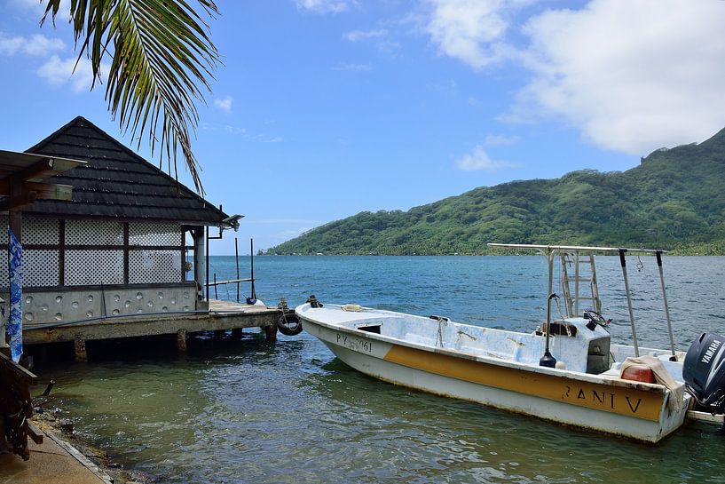Boat used to collect pearls by Frank's Awesome Travels