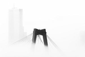 Willemsbrug und Maastoren im Nebel