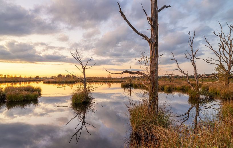 Sunset Dwingelderveld (Netherlands) by Marcel Kerdijk