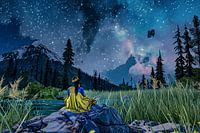 under the starry night