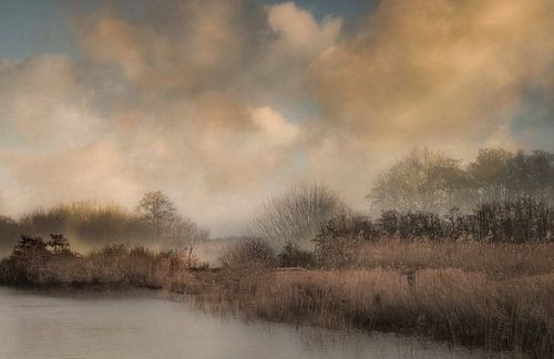 The Alde Feanen by Monique van Velzen