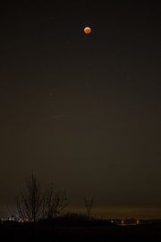 Bloed maan 2019 by Marko de Jong