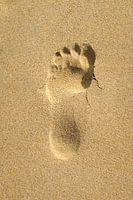 Footprint in the sand