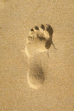 Fußabdruck im Sand von Johan Vanbockryck