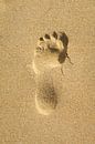 Footprint in the sand by Johan Vanbockryck thumbnail