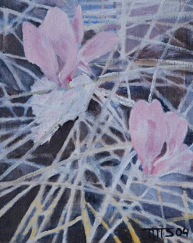 Cyclamen von Tjitske Sinke