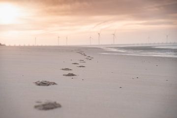 Voetstappen in het zand in Zeeland van Mirja van Dijk