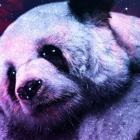 Galaxy Giant Panda von Lemo Boy