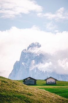 Alpe di Siusi / Seiser Alm - Tyrol du Sud (Italie)