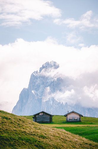 Alpe di Siusi / Seiser Alm - Zuid-Tirol (Italië)